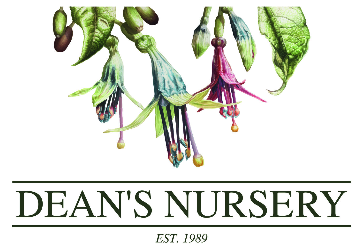 Dean's Nursery