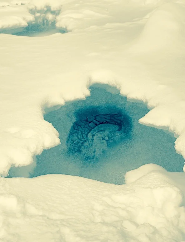 Ice Brain.jpg