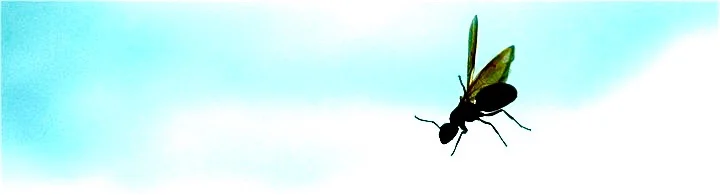 251235_10150200020217099_785138_n.jpg
