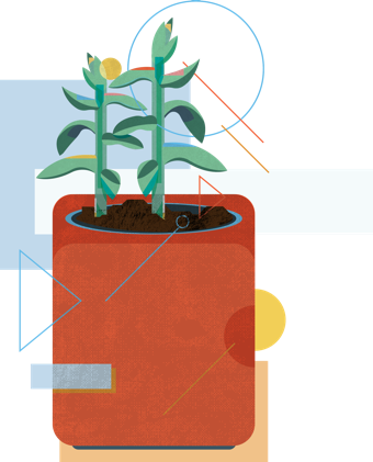succulent-illustration.png