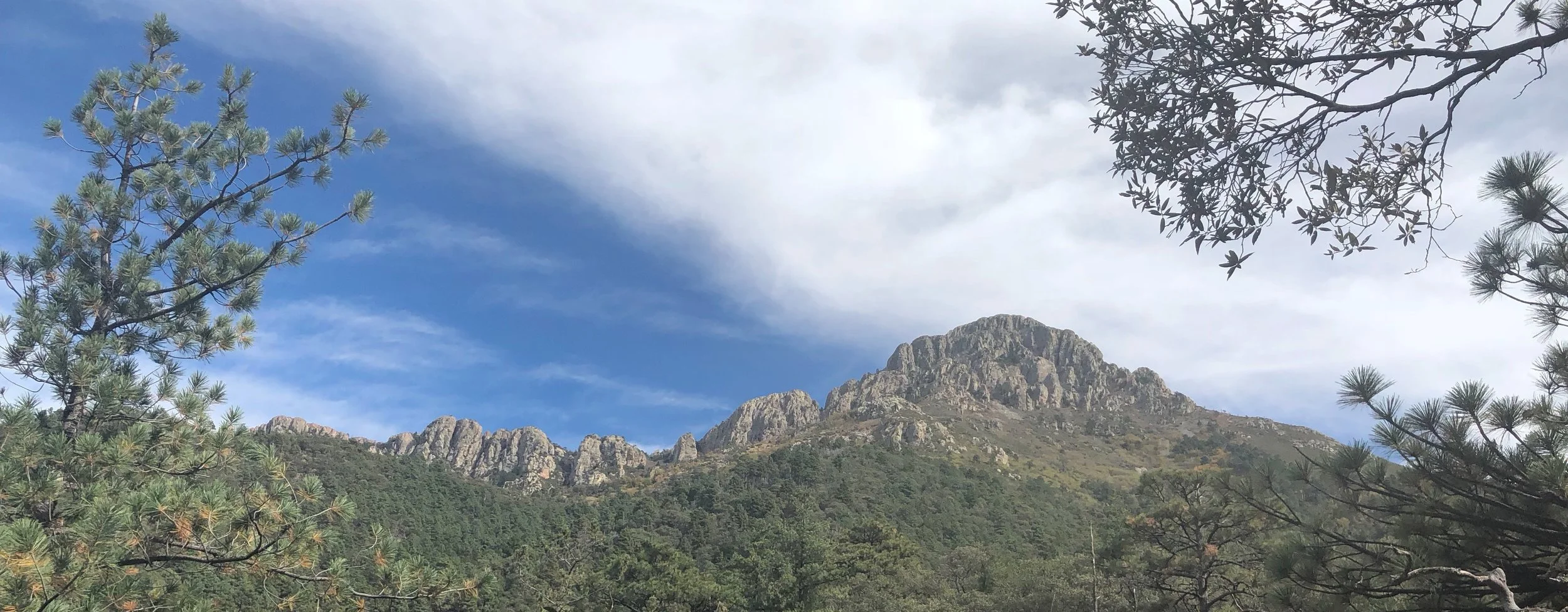 Mount Wrightson