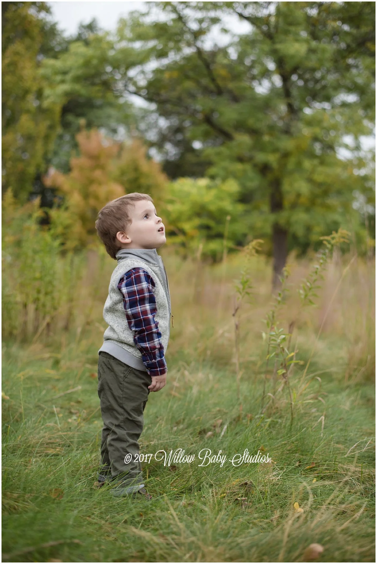 three year old on the edge of nature looking into the distance