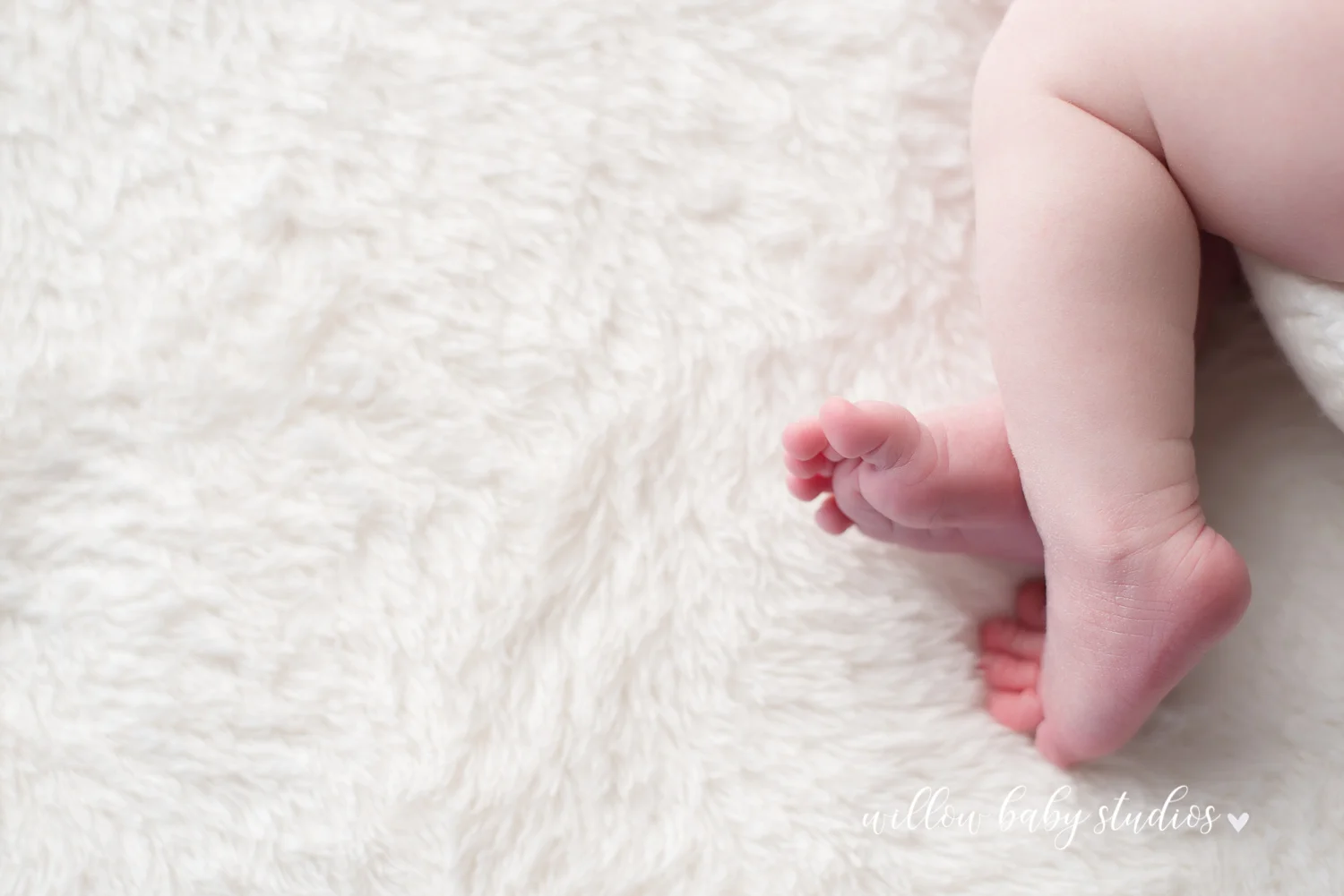 jamaica_plain_newborn_photography-02.jpg