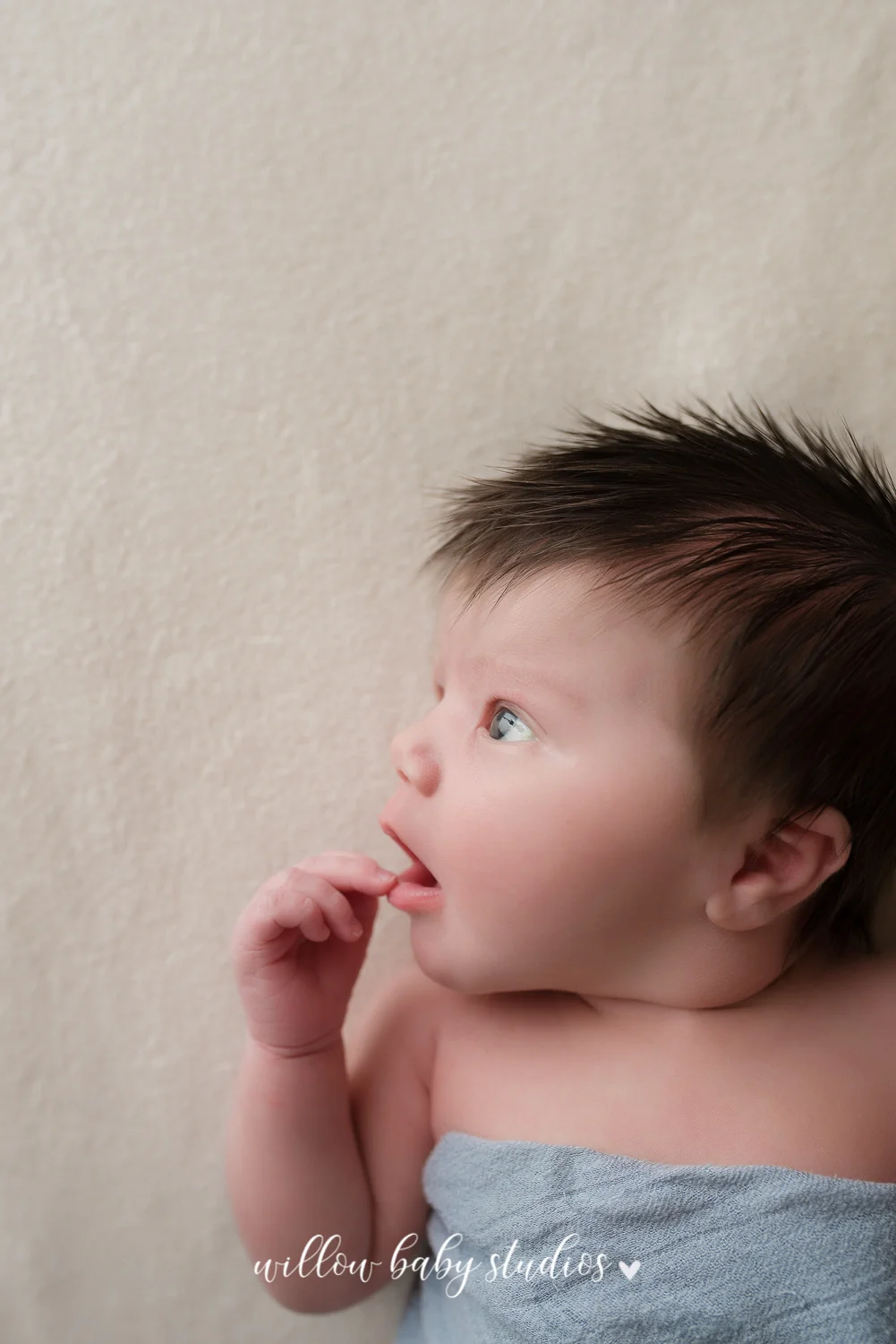 winchester_newborn_photography-6.jpg