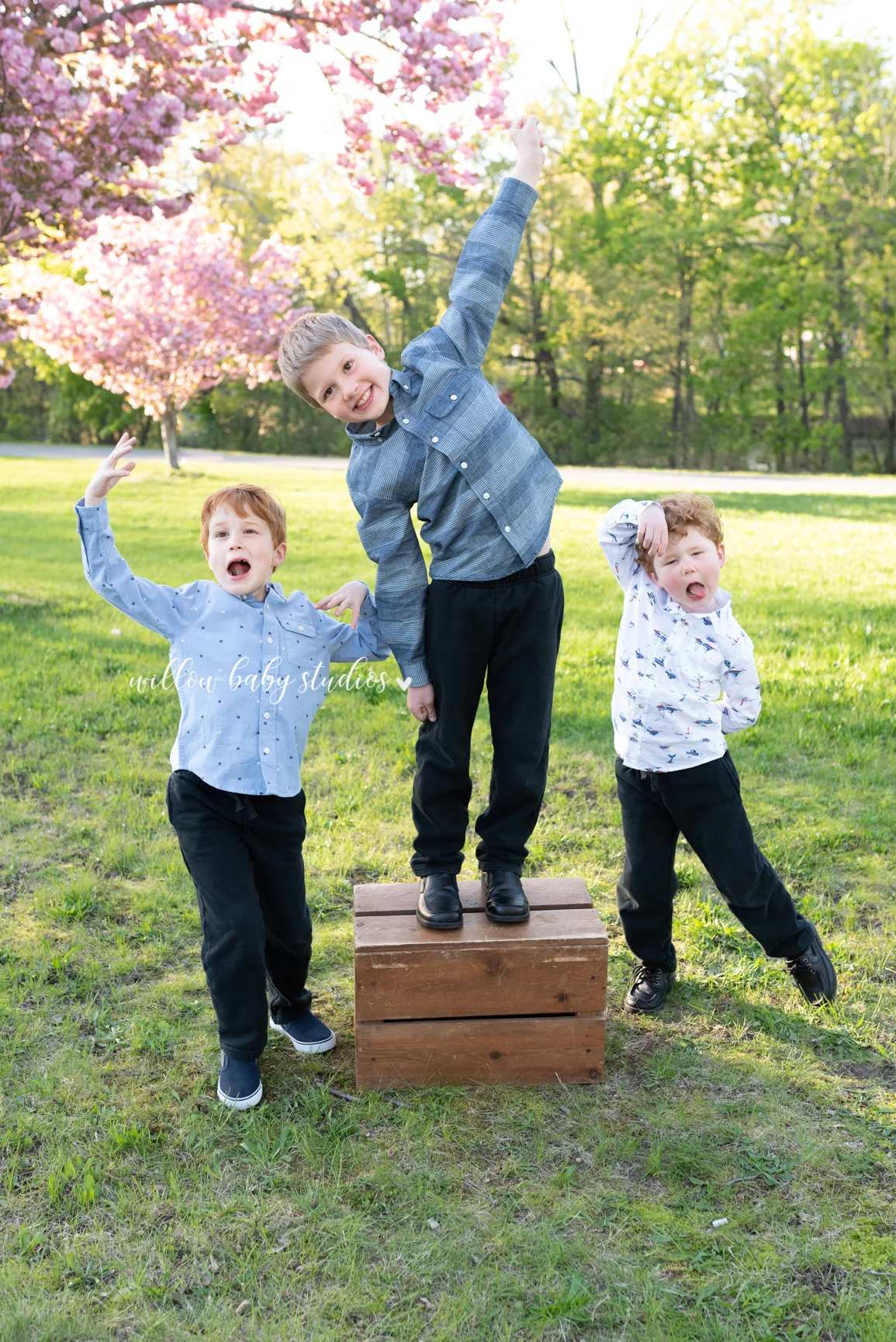 arlington-ma-sibling-photography-01.jpg