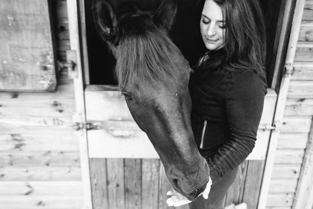 dancing-horse-314450.jpg