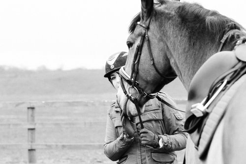 dressage-training.jpg