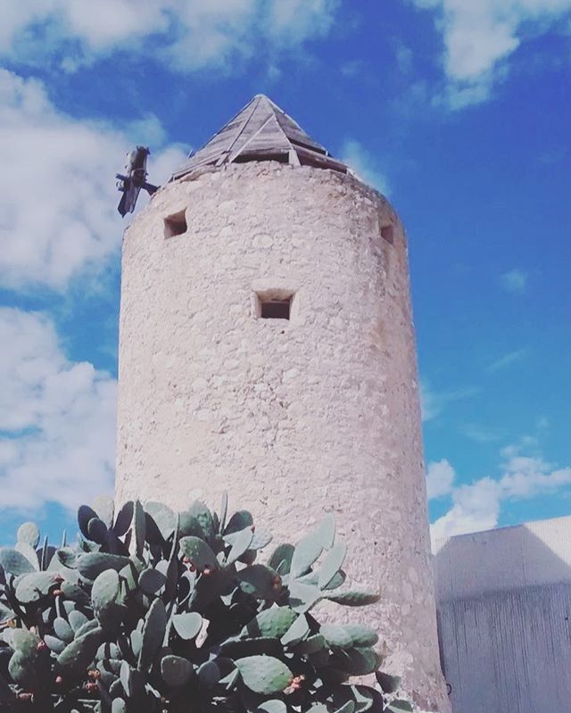 One of the many windmills in our village #mallorcarentals #vacationrentals #holidayhomespain #interiordesignershouse #homeawayfromhome #springvacation #welcometomallorca