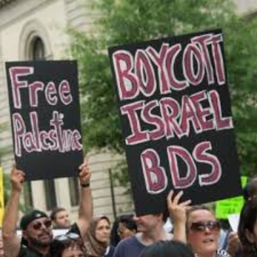 11-27-18 bds.jpeg