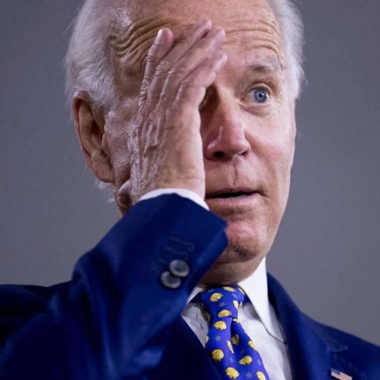 Where do Biden’s VP candidates stand on Palestine?