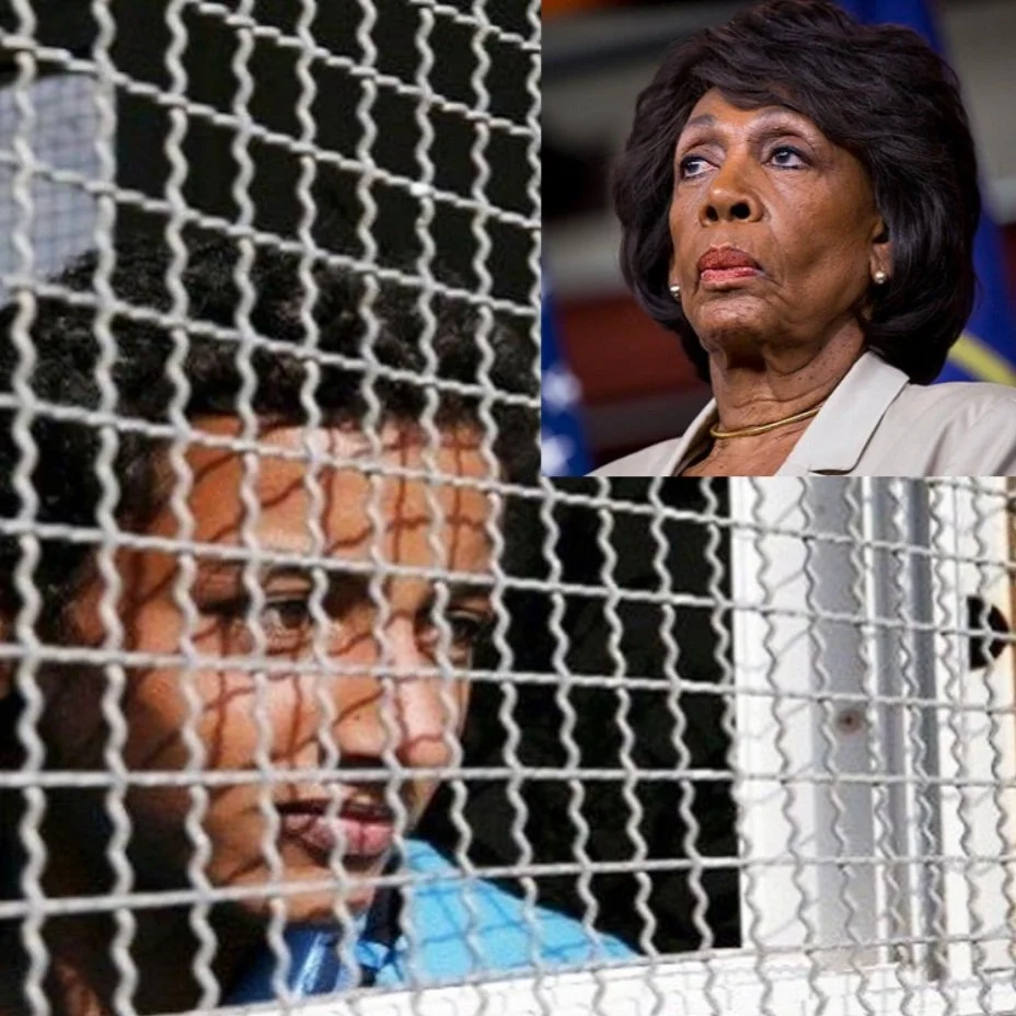 CA Rep. Maxine Waters is Palestine’s newest hero!