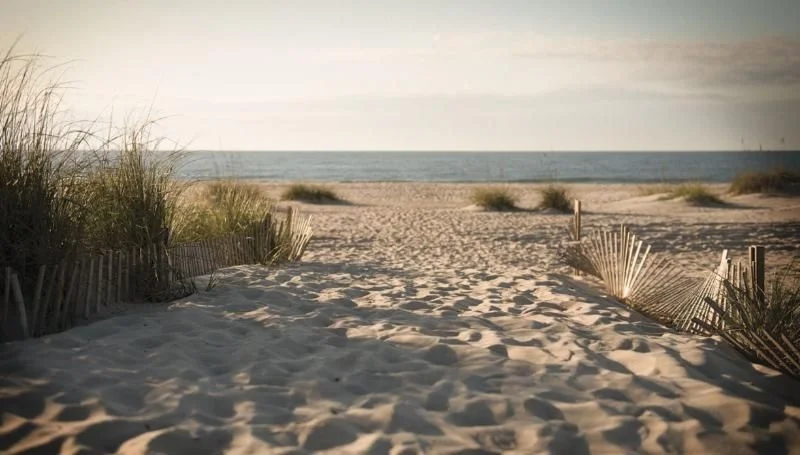 beach-photo.jpg