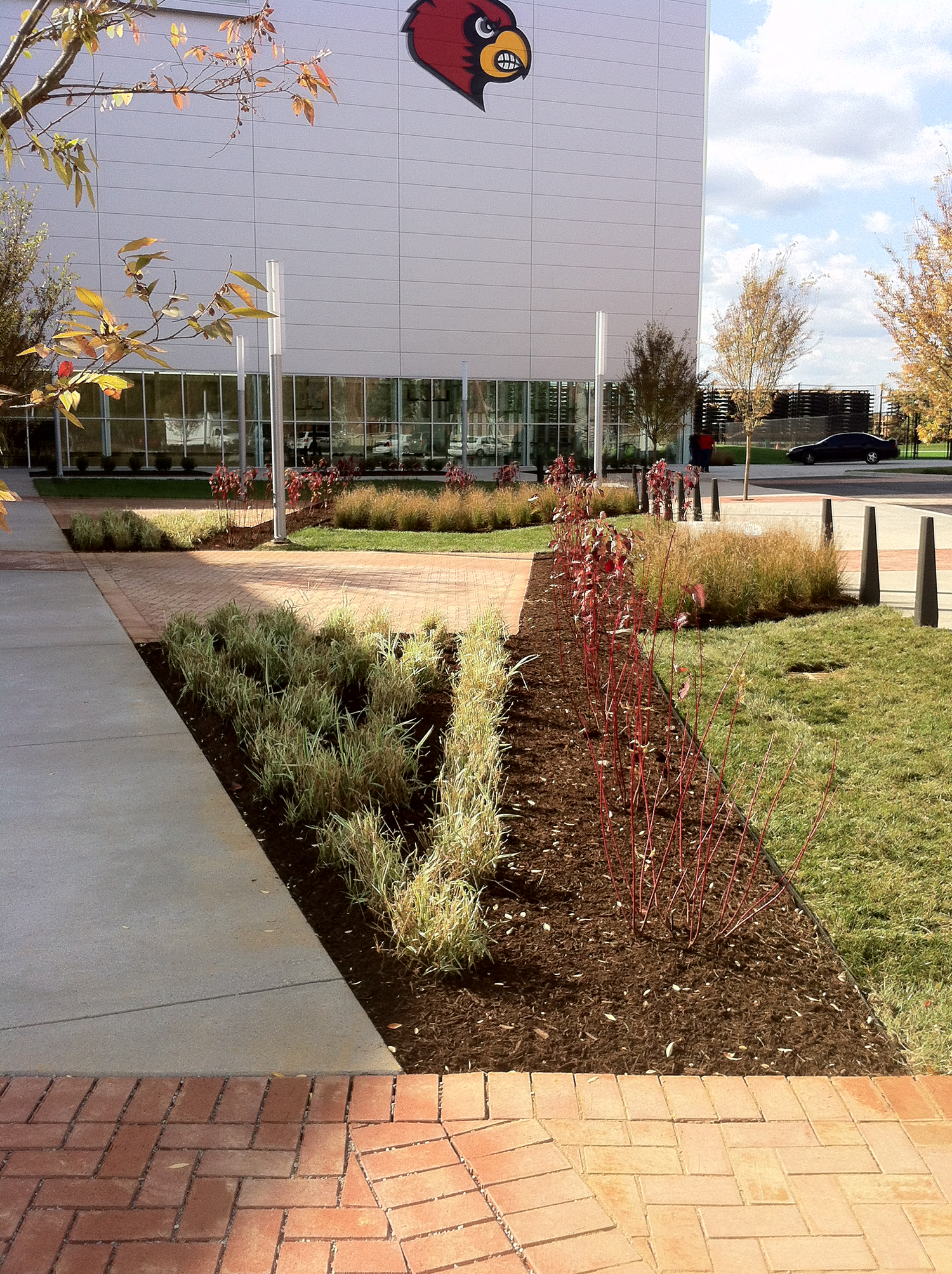 ul-src-plants1.jpg