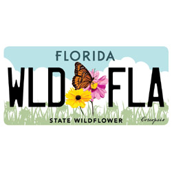 FWF_LicensePlate_2018.jpg