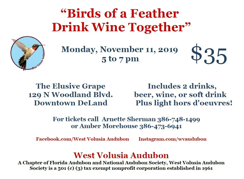 Audubon-Birds-of-a-Feather-2019.jpg