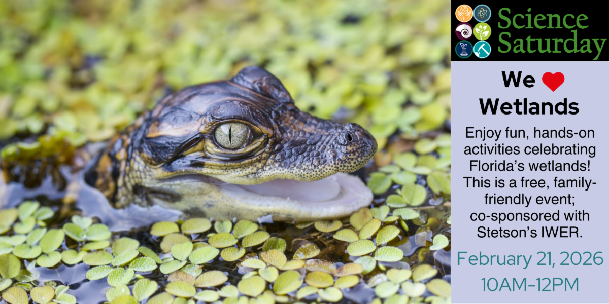 Science Saturday | We Love Wetlands