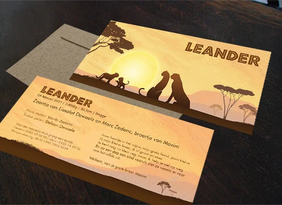 First-image-geboortekaartje-Leander-variatie-luipaarden.jpg