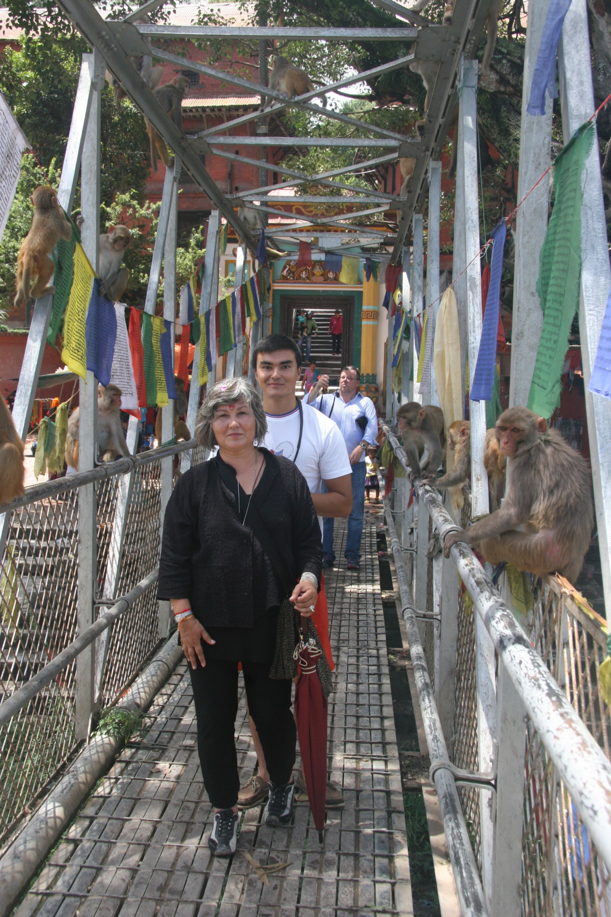 Monkeys on bridge