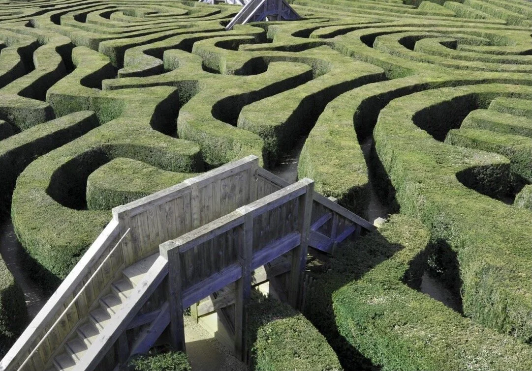 How to Figure Out Your Right Next Move? Don't