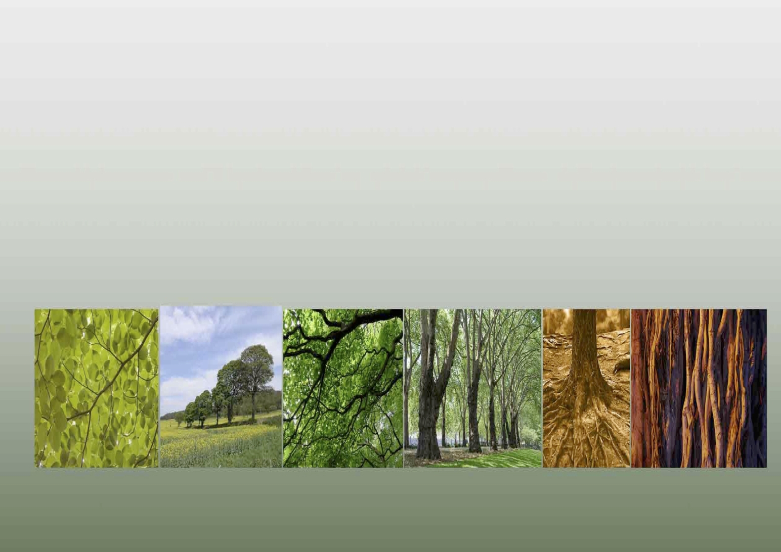  KEPOS ECO HOTEL CONCEPT 