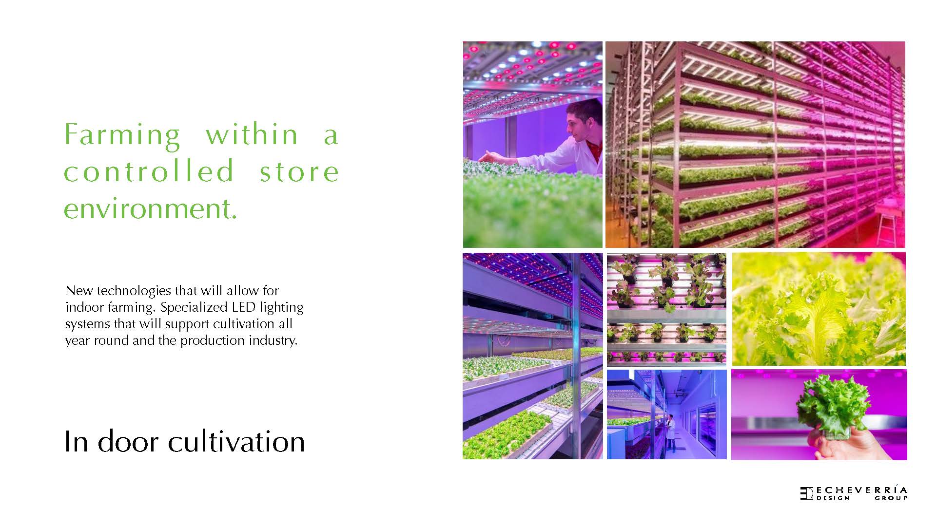EDG RETAIL QUAL WHOLE FOODS _Page_09.jpg
