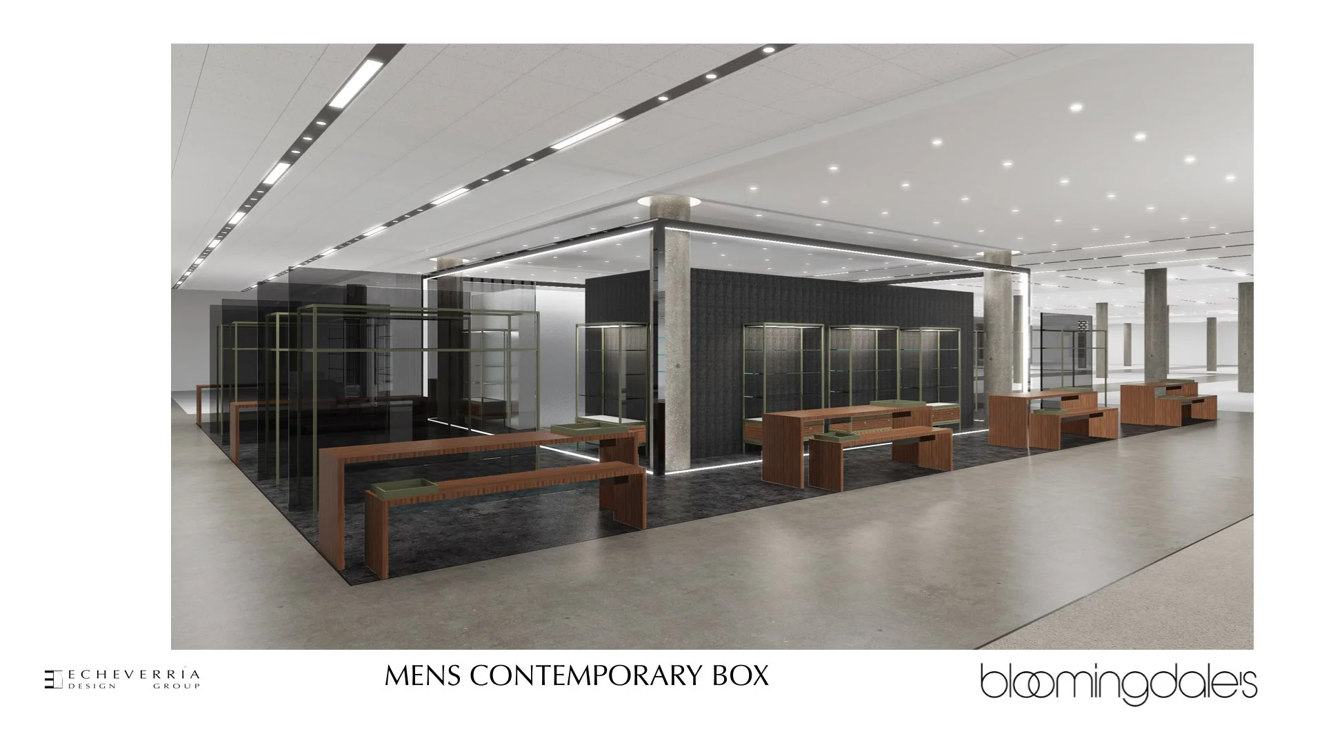 BLM Northbrook Design Concepts- main copy .040.jpeg