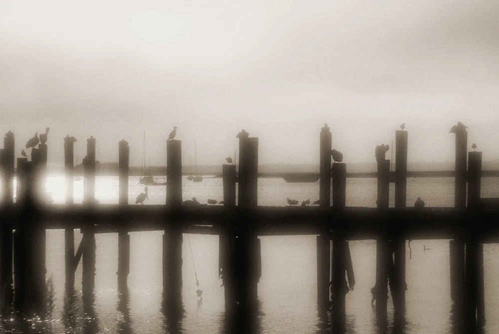 Gathering Dusk.jpg