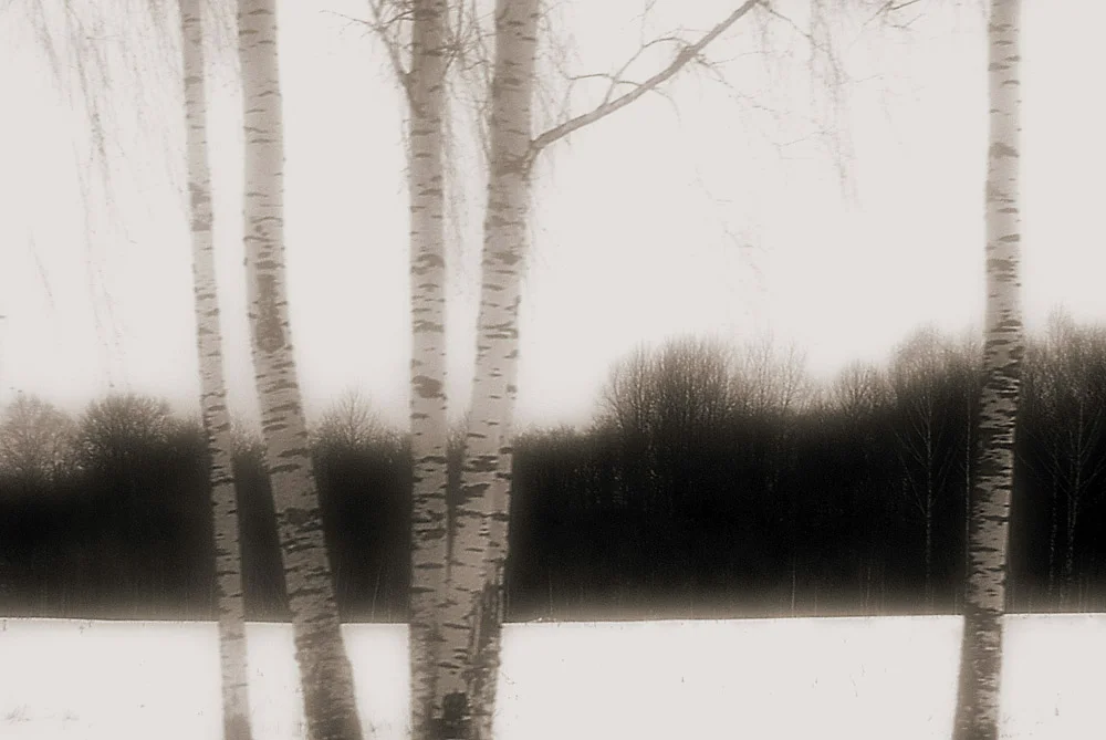 Winter Light.jpg