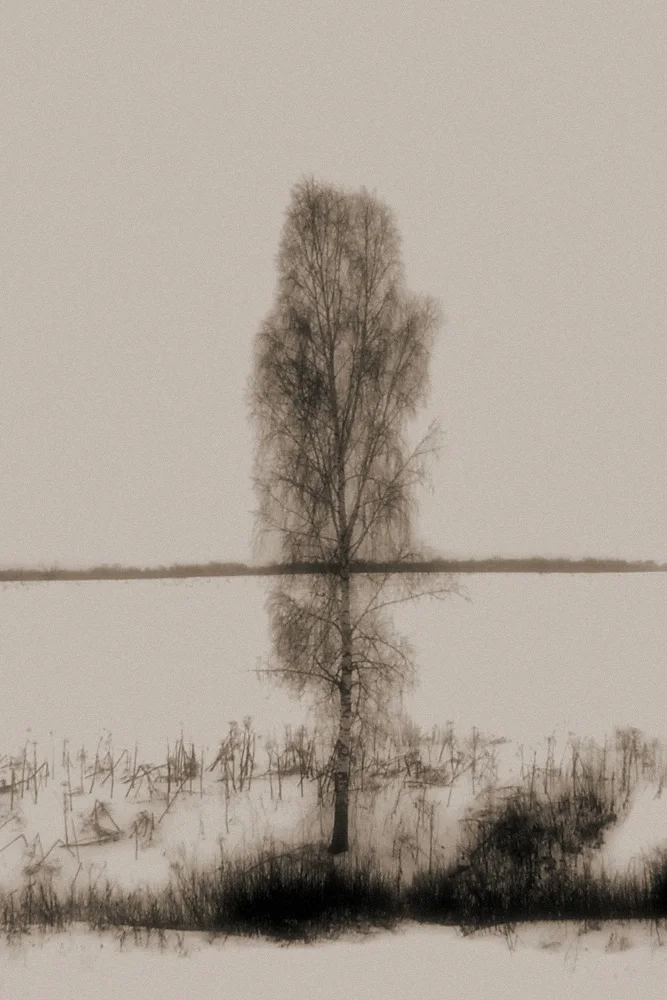 Winter Icon.jpg