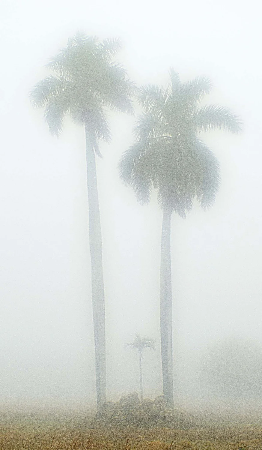 DSC_3000P.jpg