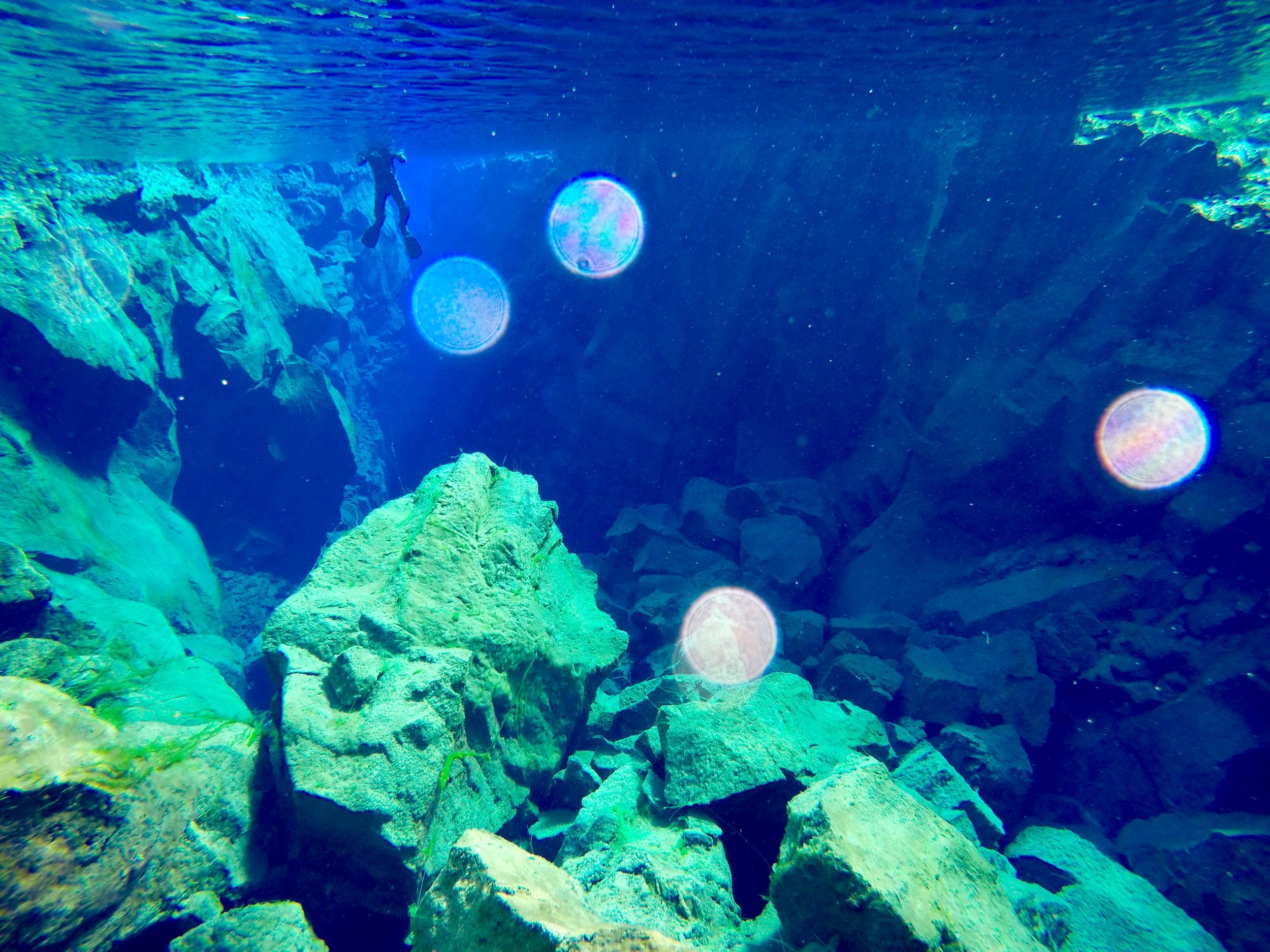 iceland-silfra-fissure-snorkel-dive-spot.jpg