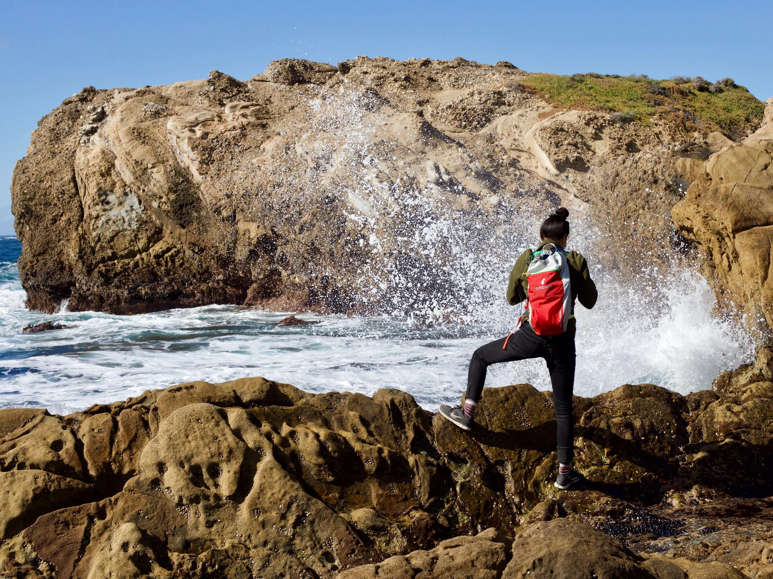 big-sur-point-lobos-traveler.jpg