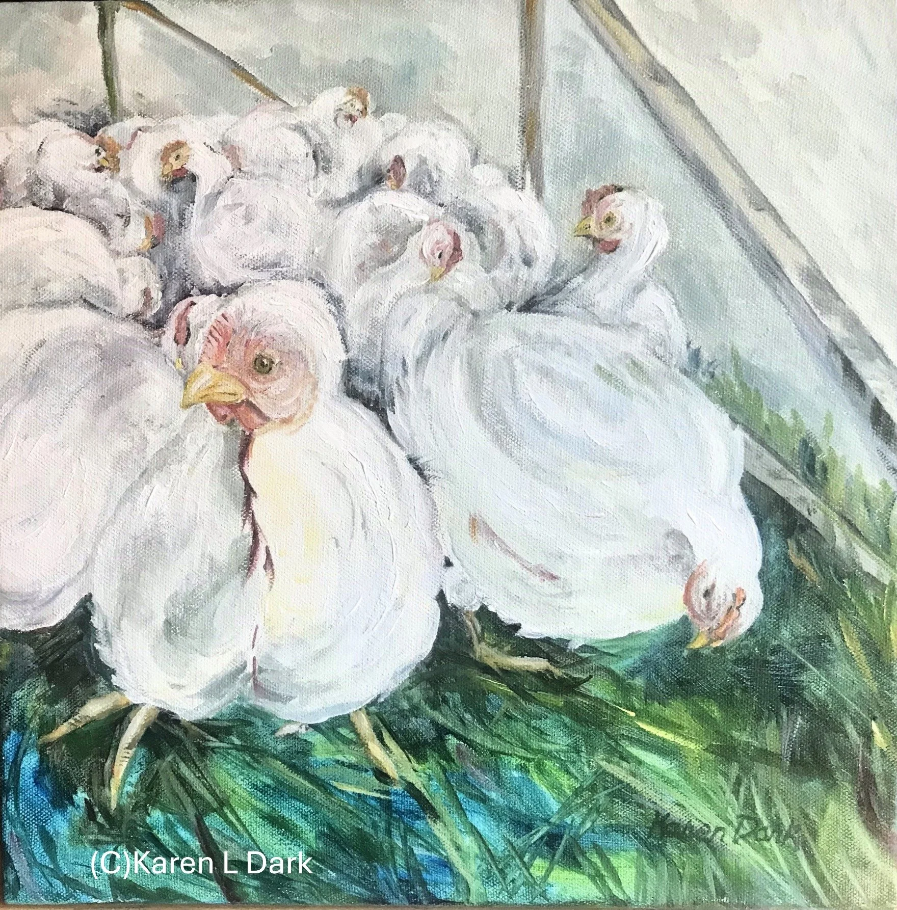 Catie's Chickens.JPG