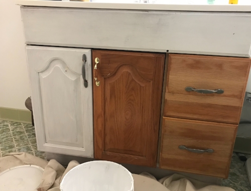 DIY Bathroom Vanity Makeover for Under $100 — Sarah Powell