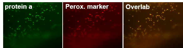 Picture7.png