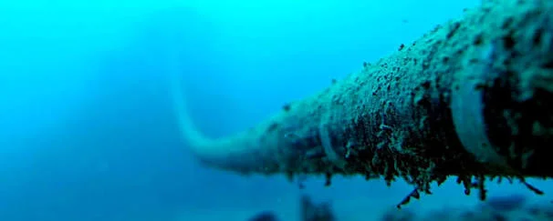 The Past &amp; Future - Internet Infrastructure 