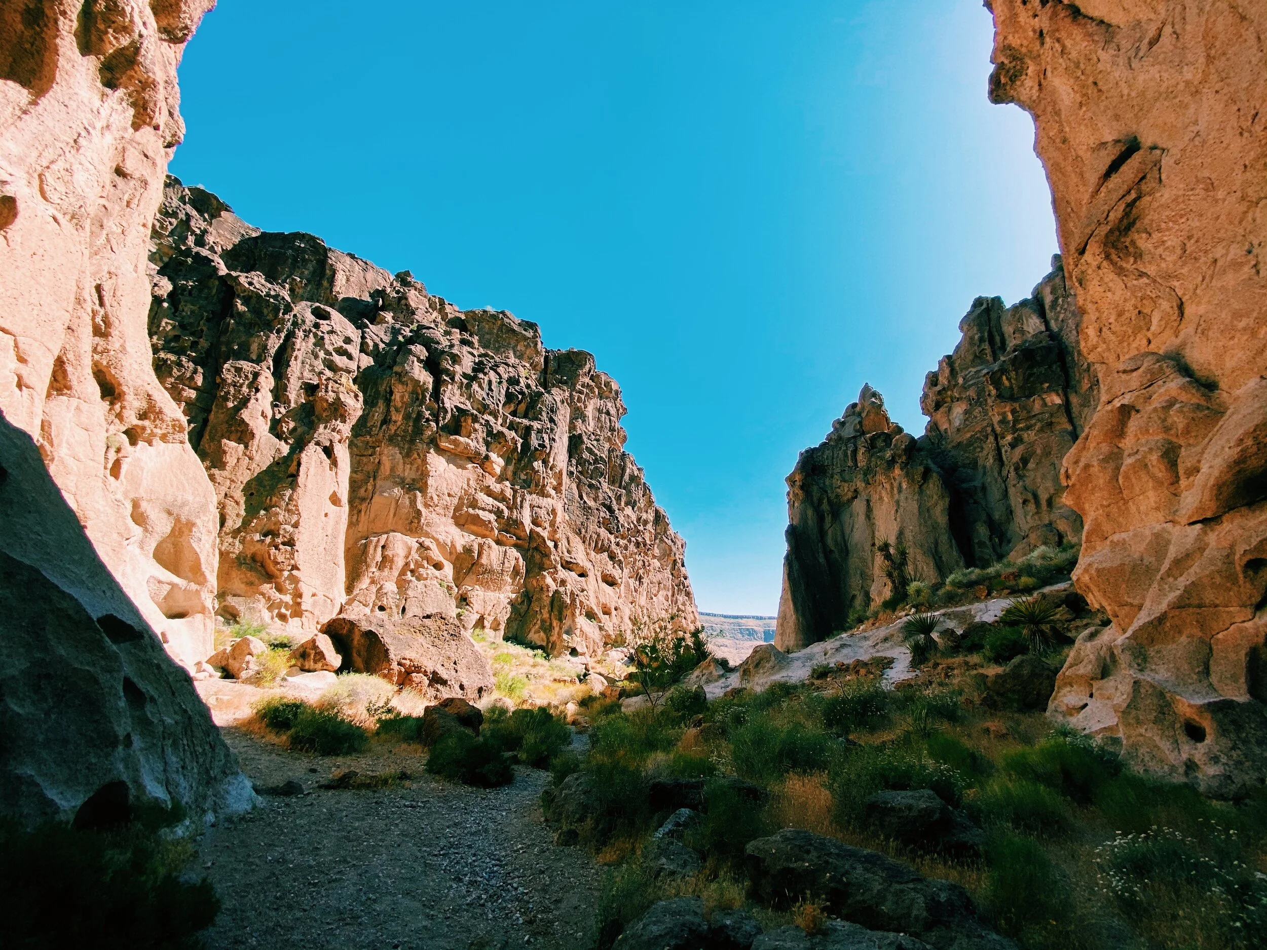 A WEEKEND IN THE MOJAVE DESERT