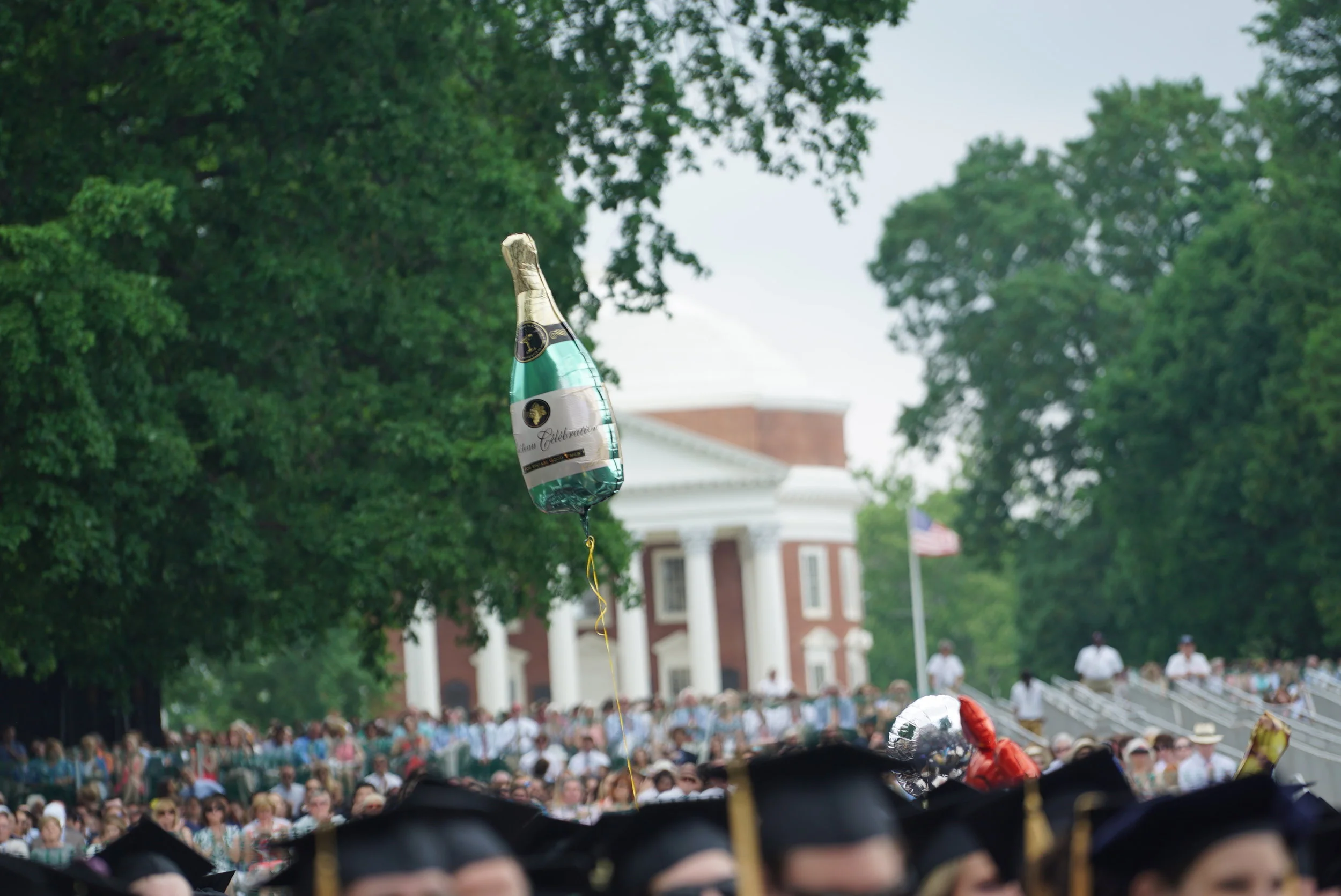 HOOS8.jpg
