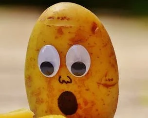Enjoying Fruits &amp; Vegetables