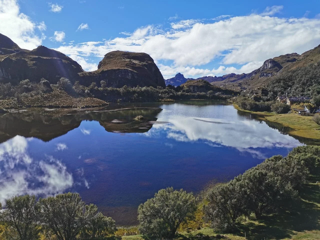 DTA Submits Amicus Curiae in Support of Action of Protection for Illincocha