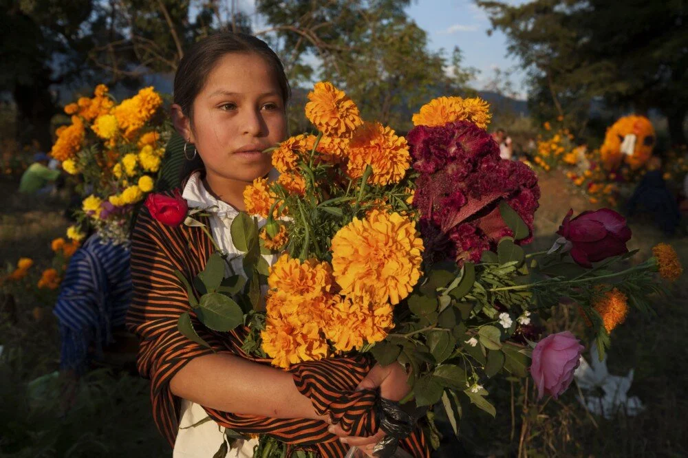 In Conversation with Janet Jarman