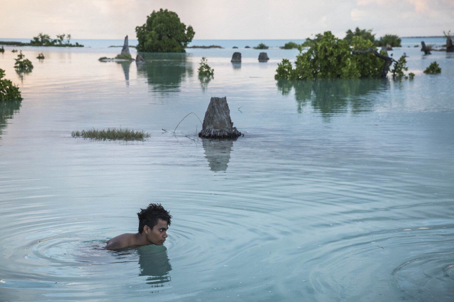 “Canaries in the global coal mine” of climate change