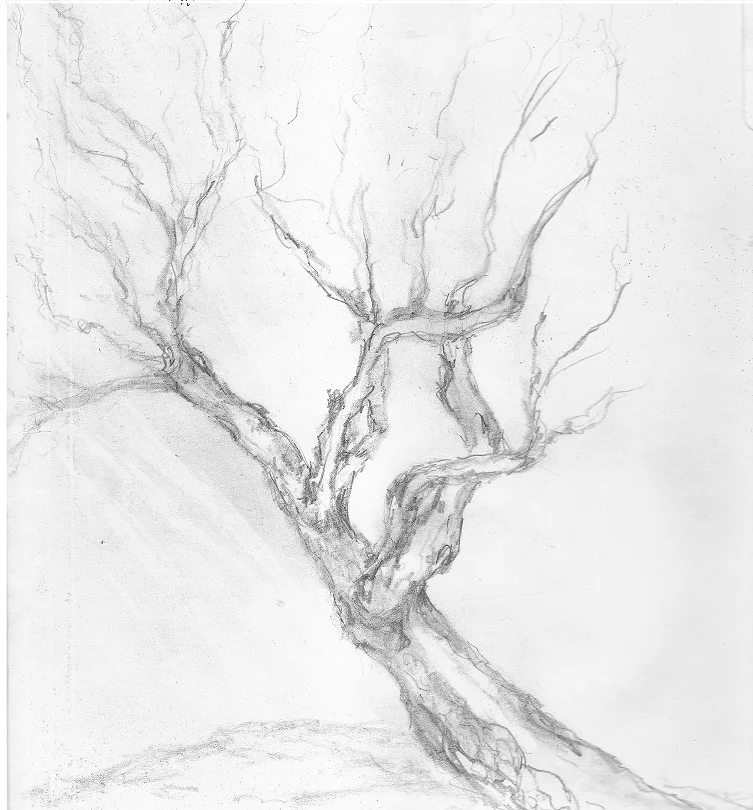 Tree on file small.jpg