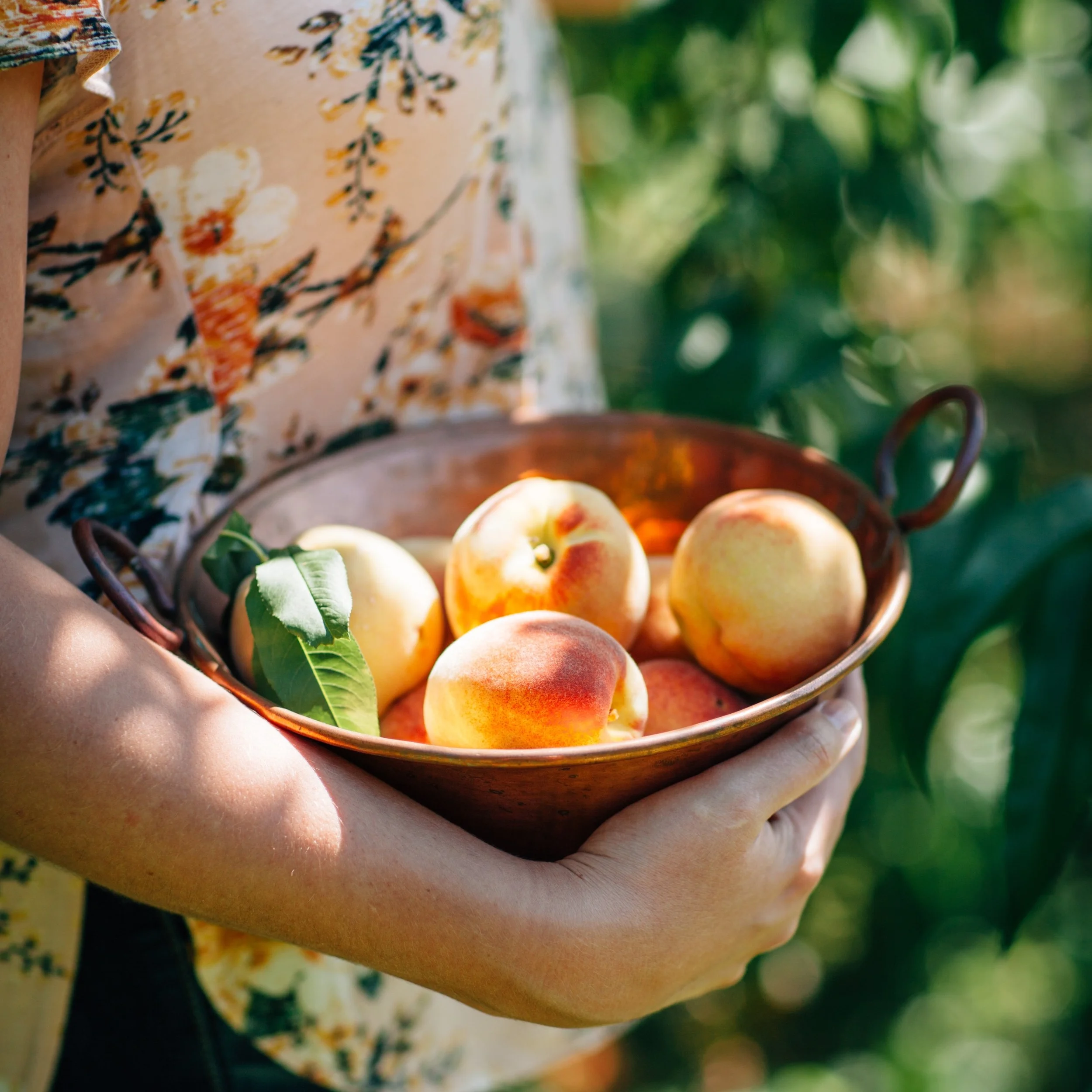 What you think you know about healthy eating is wrong
