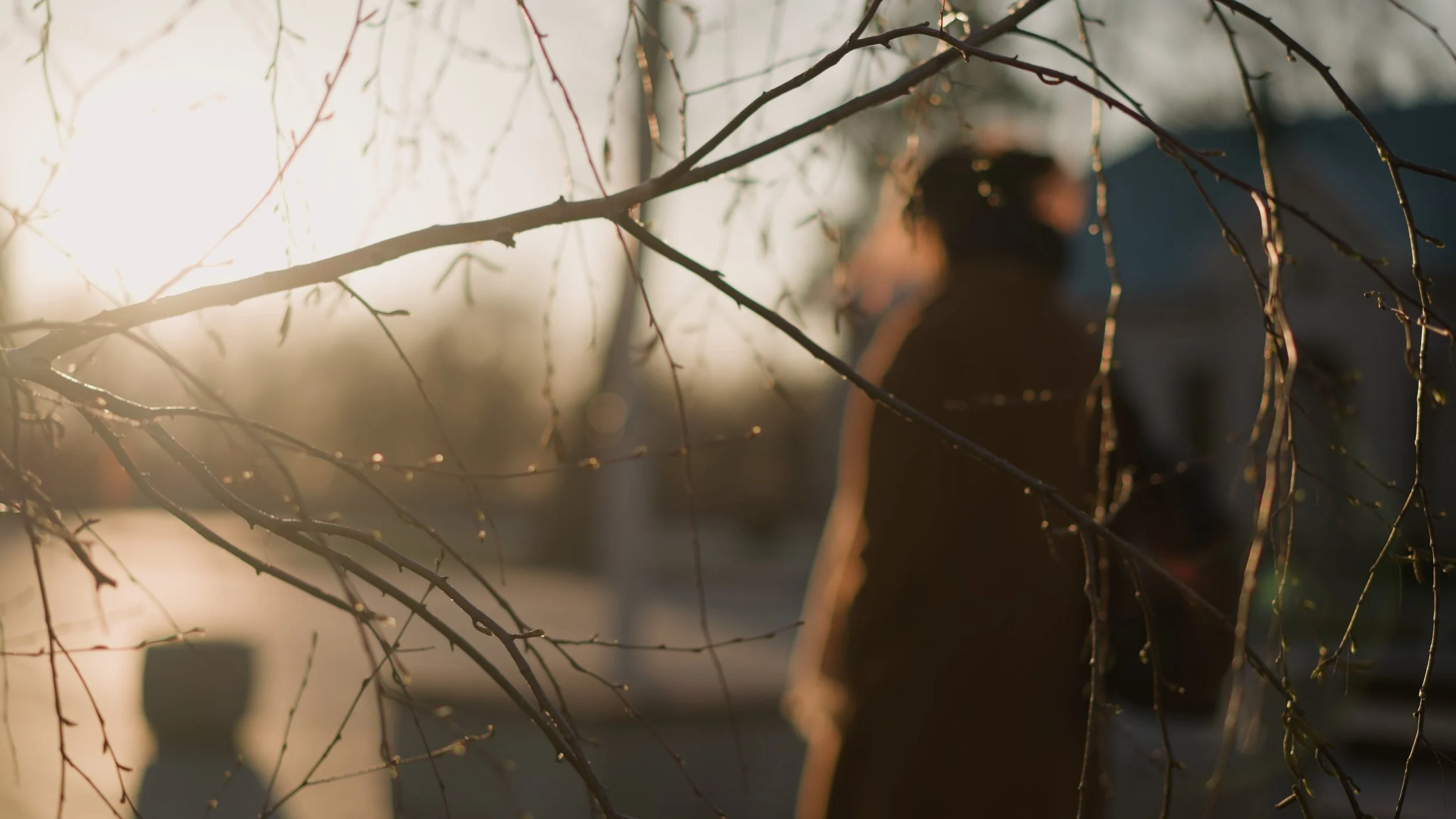 woman-walking-in-park-with-tree-branches-in-foreground-SBI-349467370.jpg