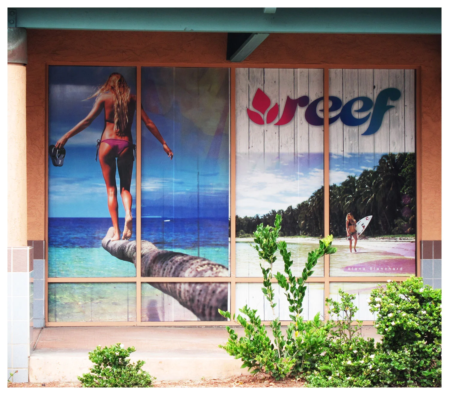 REEF