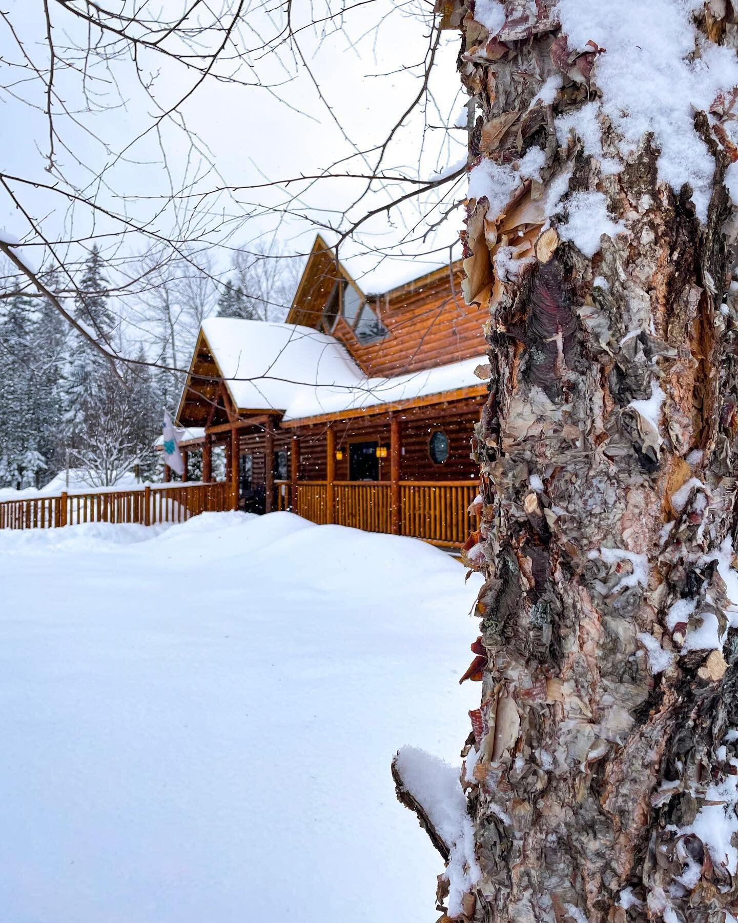 It may be August, but it&rsquo;s February in our souls. Our winter season dates are open and we can&rsquo;t wait for you to come visit the valley! Give us a call or head on over to our website to book your winter getaway now! 

#sugarloaf #skitheeast