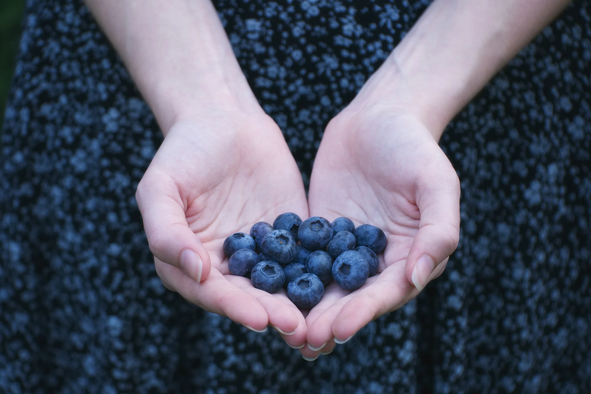 blueberry.jpg