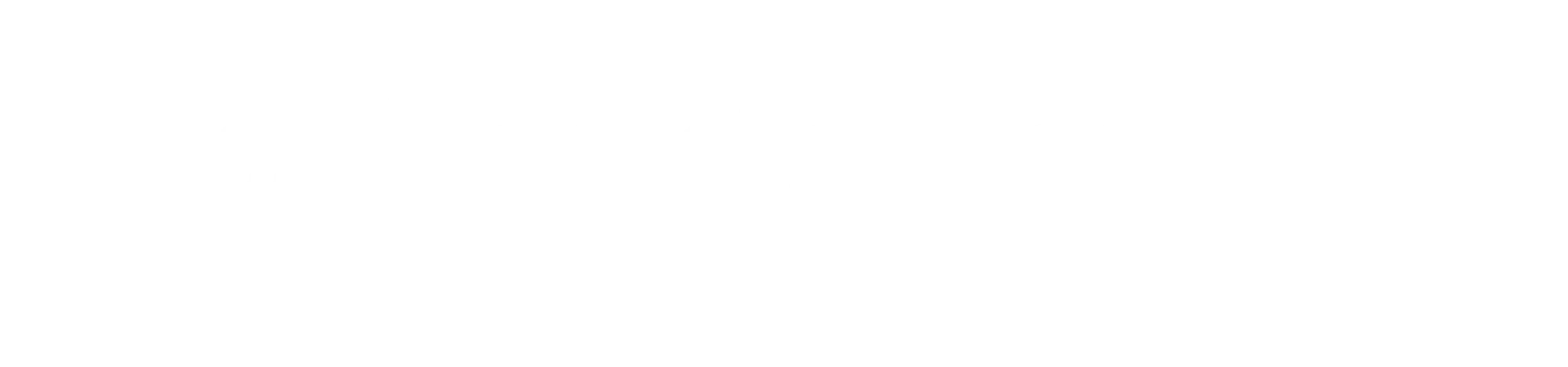 RS_logotyp_neg_rgb (1).webp