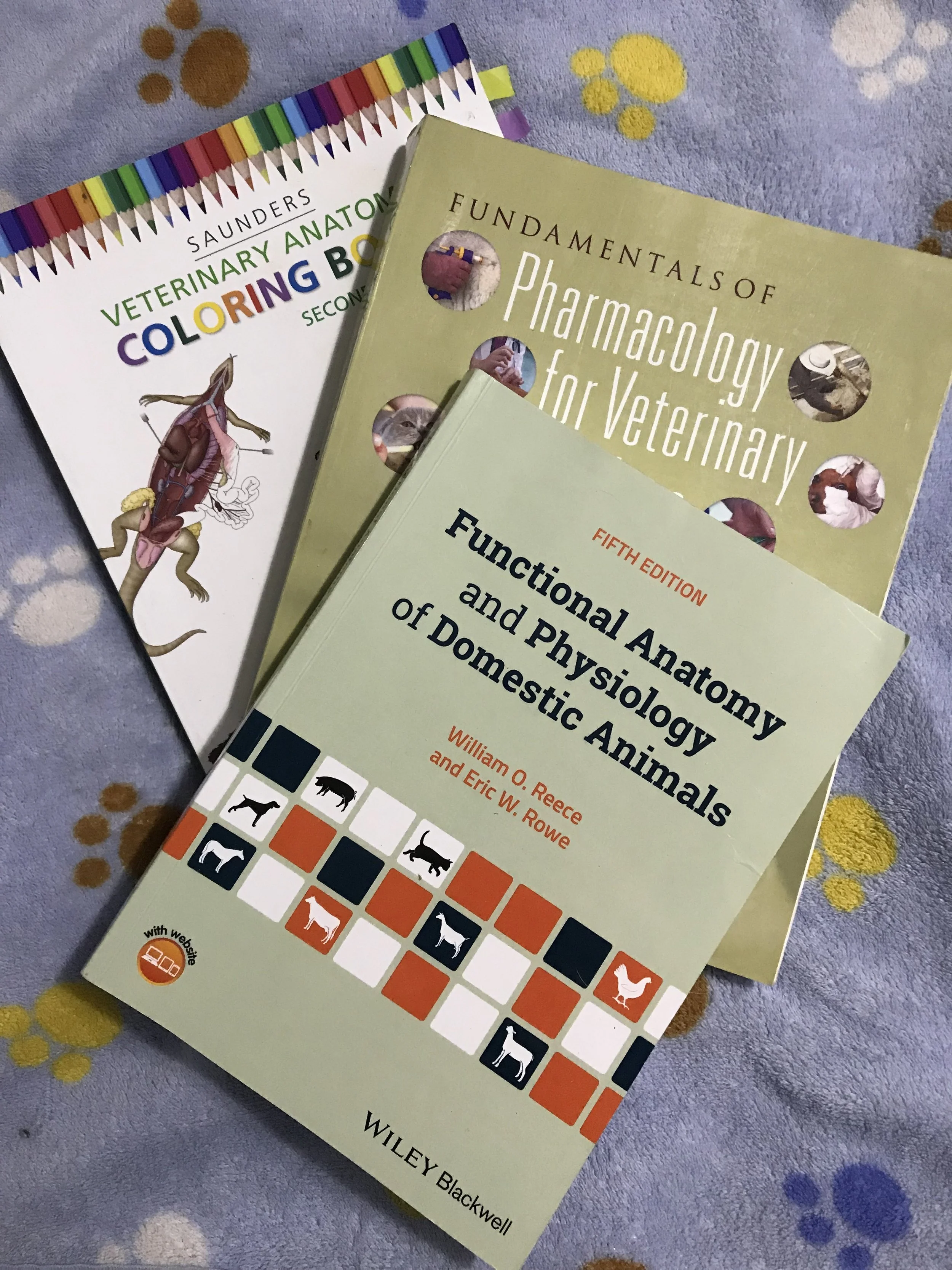 Firstsemestertextbooks.jpeg